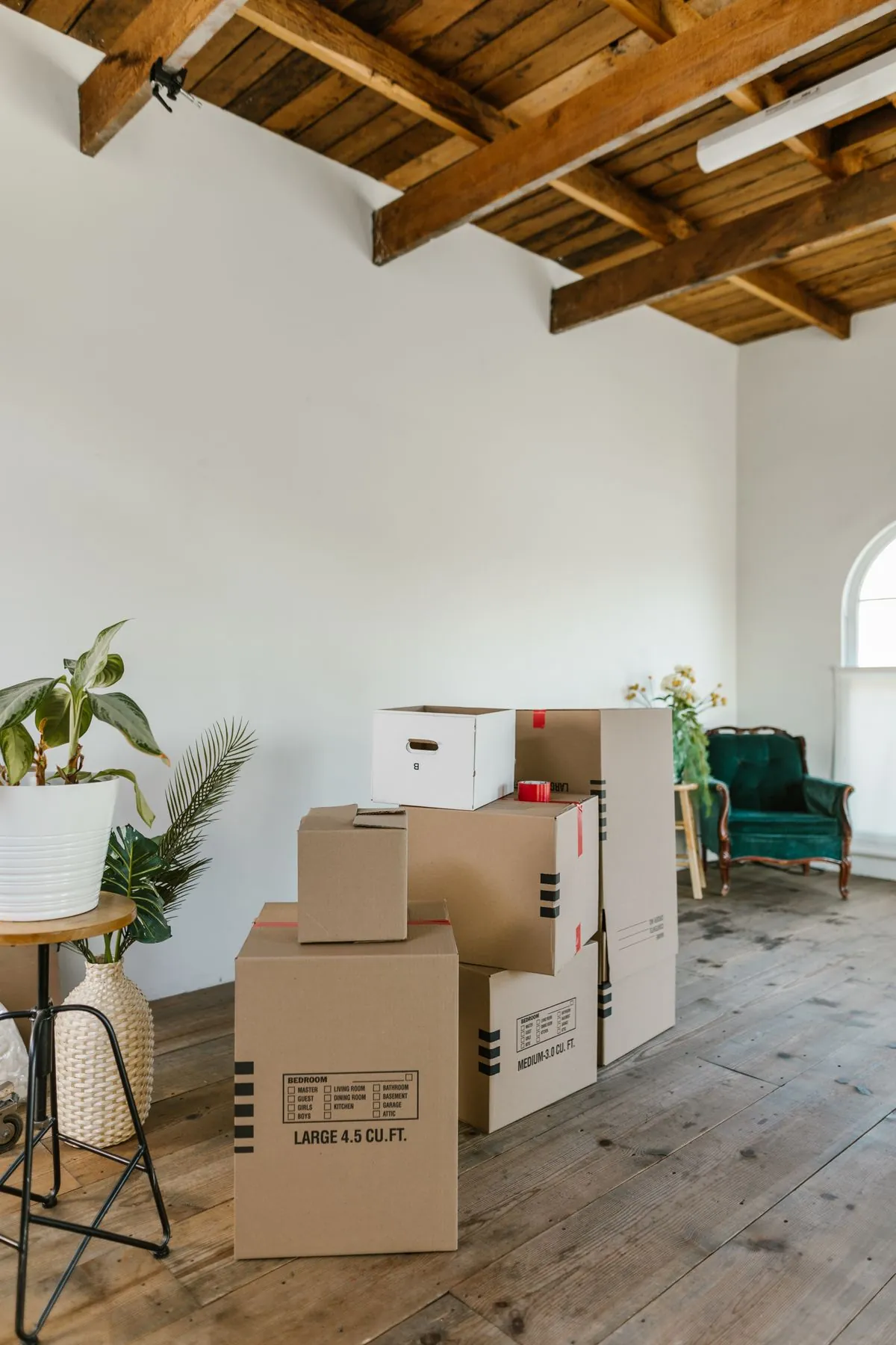 Cardboard boxes on a wooden floor beside a green armchair and houseplants